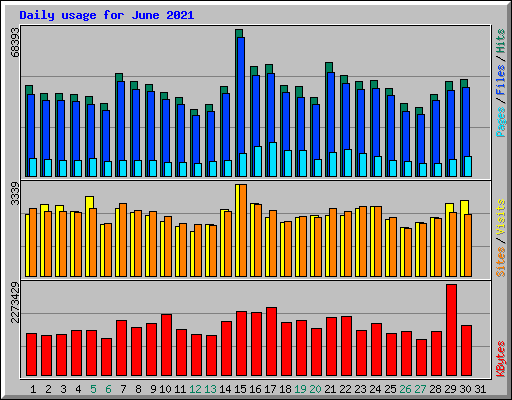 Daily usage for June 2021