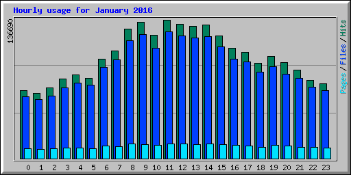 Hourly usage for January 2016