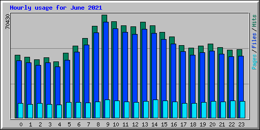 Hourly usage for June 2021