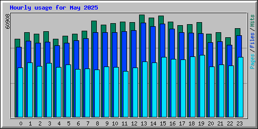 Hourly usage for May 2025