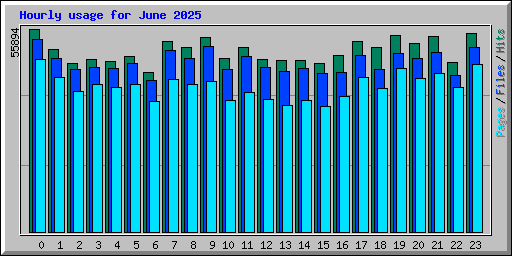 Hourly usage for June 2025