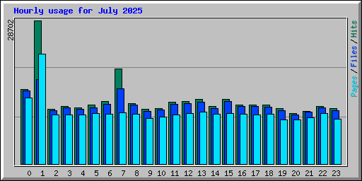 Hourly usage for July 2025