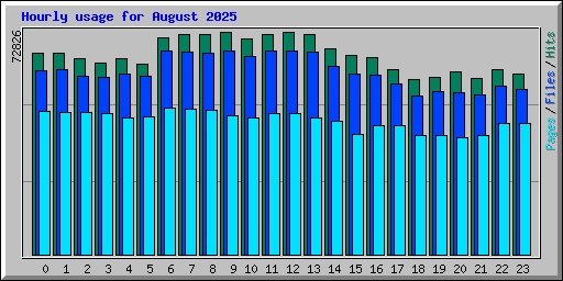 Hourly usage for August 2025