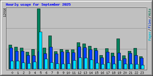 Hourly usage for September 2025