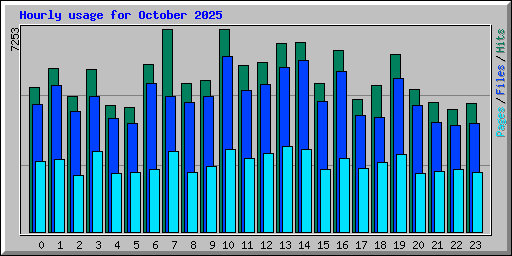 Hourly usage for October 2025