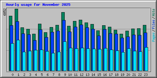 Hourly usage for November 2025