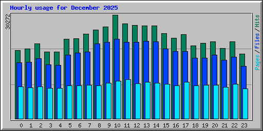 Hourly usage for December 2025