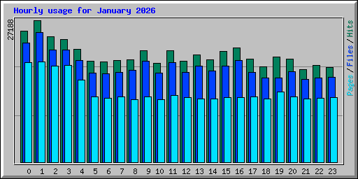 Hourly usage for January 2026